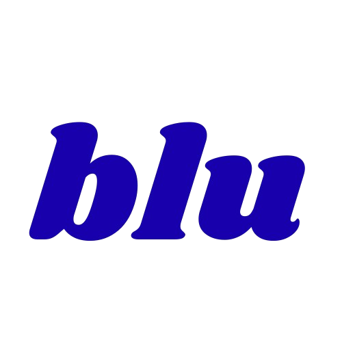 Blu Ink Media logo